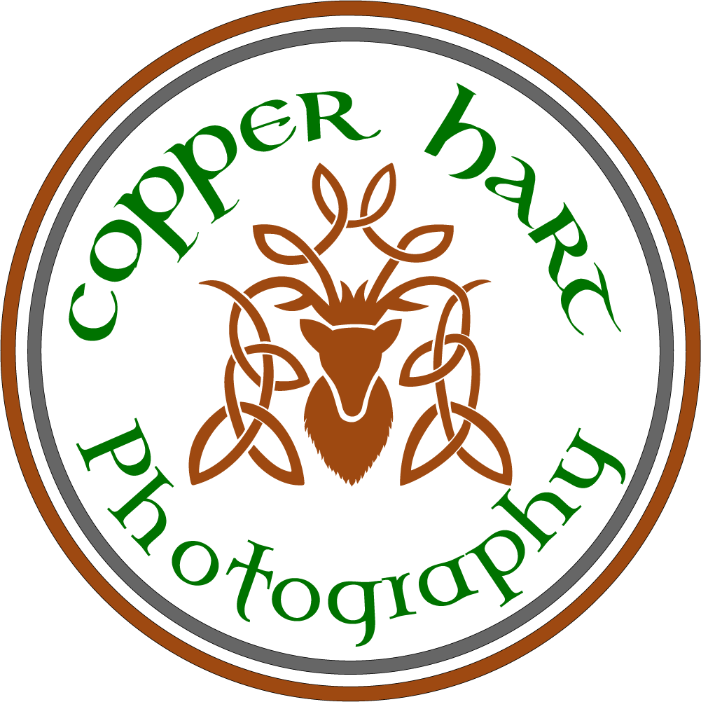 Copper Hart Photography