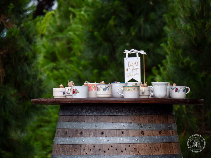 The Timbers Wedding 4-24-026