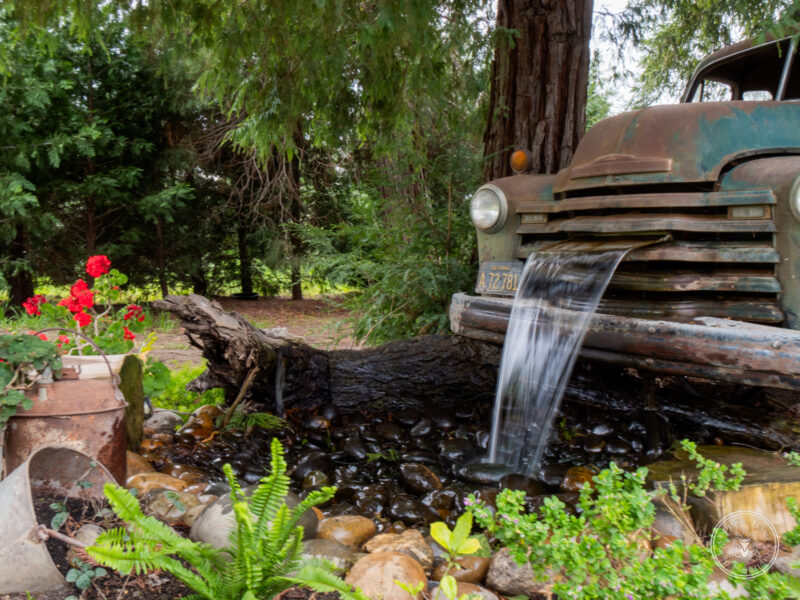 The Timbers Wedding 4-24-085