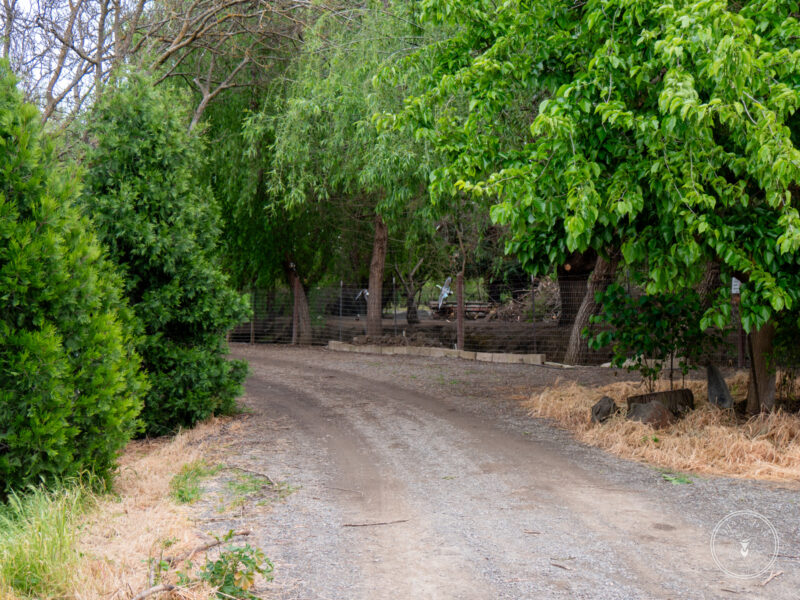 The Timbers Wedding 4-24-104