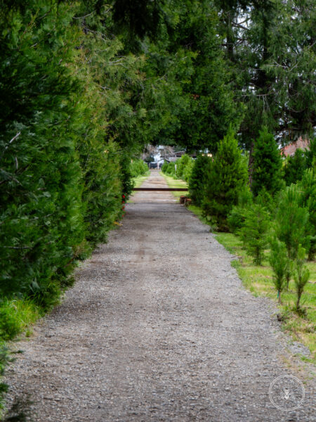 The Timbers Wedding 4-24-109