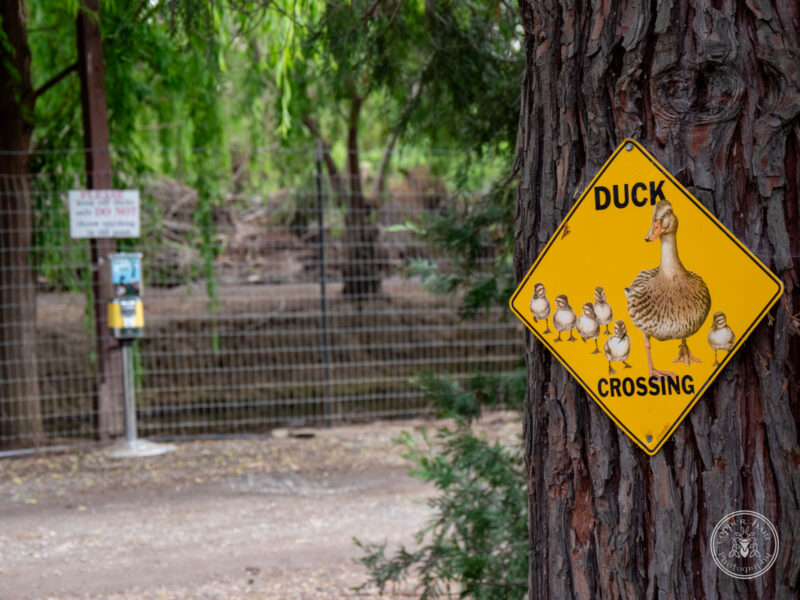 The Timbers Wedding 4-24-110