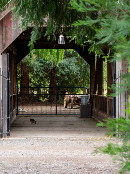 The Timbers Wedding 4-24-111