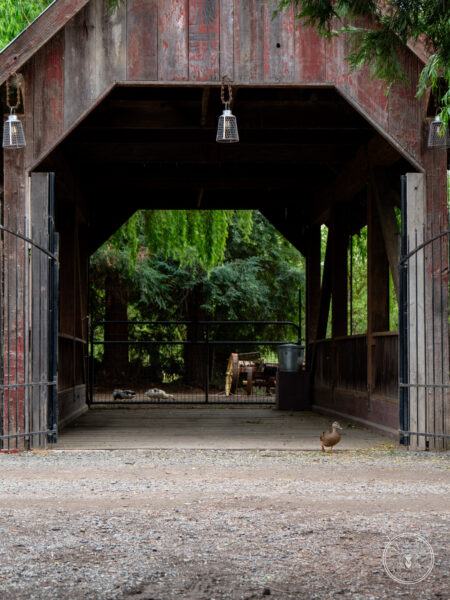 The Timbers Wedding 4-24-112