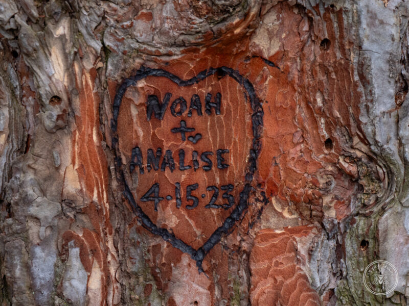 The Timbers Wedding 4-24-114