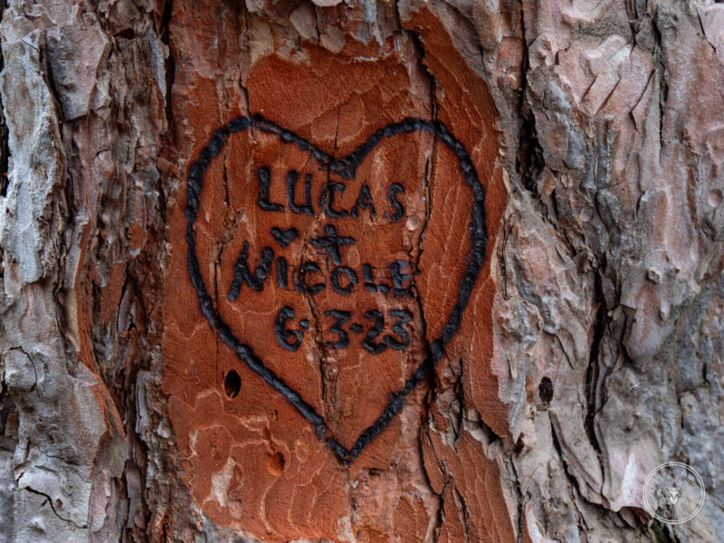 The Timbers Wedding 4-24-115