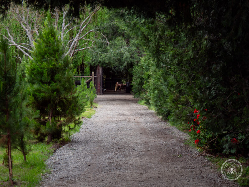 The Timbers Wedding 4-24-117