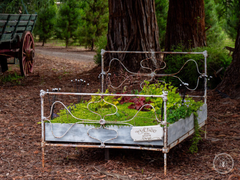 The Timbers Wedding 4-24-118