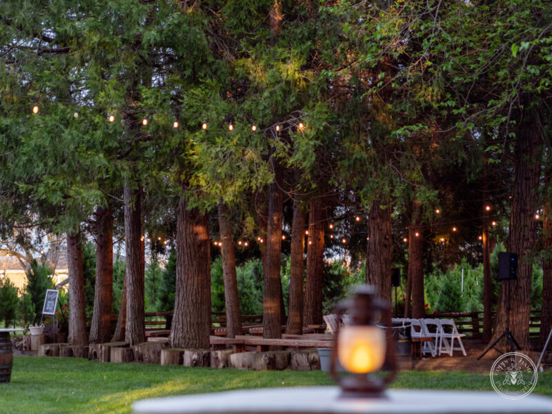 The Timbers Wedding 4-24-125