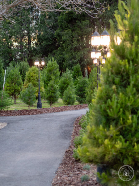 The Timbers Wedding 4-24-135