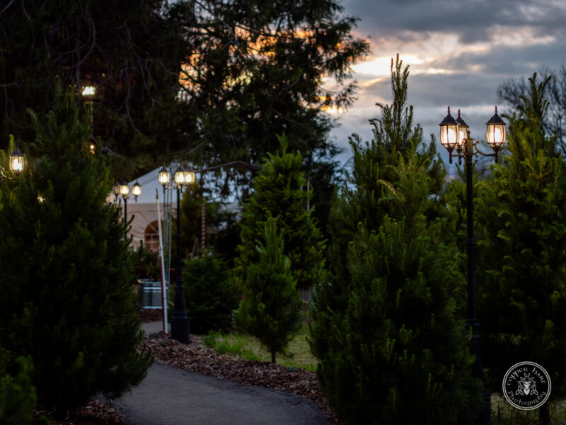 The Timbers Wedding 4-24-140