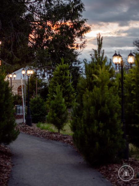 The Timbers Wedding 4-24-141