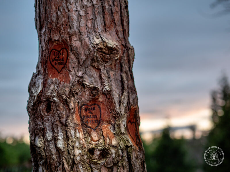 The Timbers Wedding 4-24-146