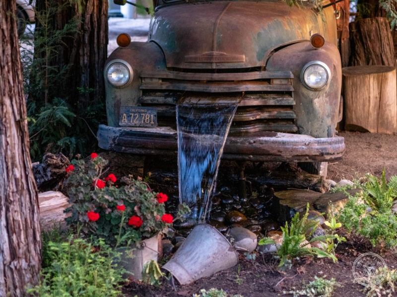 The Timbers Wedding 4-24-155