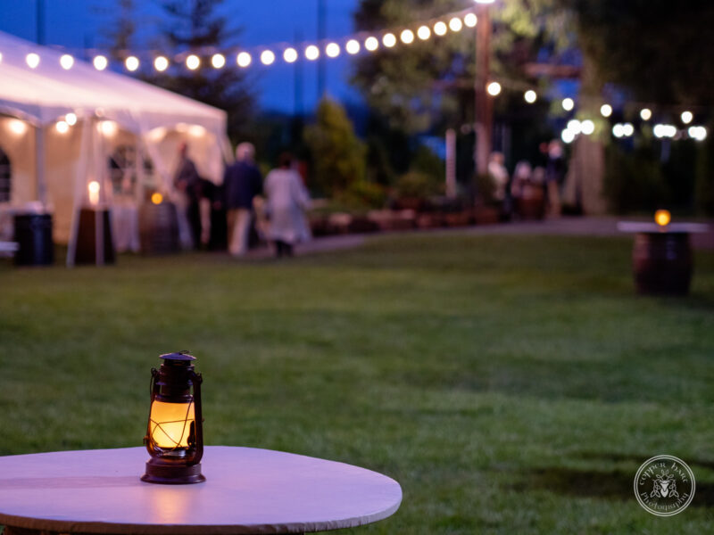 The Timbers Wedding 4-24-159